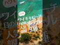ワイキキビーチ目の前の人気部屋３種 #ハワイ #shorts #ハワイ旅行 #ハワイ情報 #ハワイ在住 #ホテル #hawaii #ワイキキ #waikiki #hotel