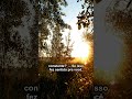 Culpa no Sábado?