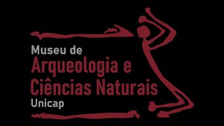 Conheça Os Espaços Do Museu Da Unicap