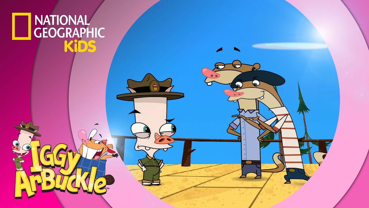 Fair is Ferret | Iggy Arbuckle