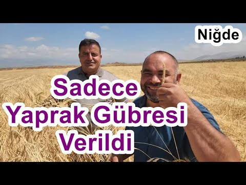 Video: UIN: nerede belirtileceğini ve ne için olduğunu nasıl öğreneceksiniz