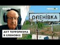 🔶 ПИОНТКОВСКИЙ о массовой казни пленных в ЕЛЕНОВКЕ: Гитлеровский режим такого не делал!