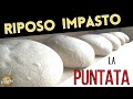 Impasto: Quanto deve riposare? - Durata della Puntata -