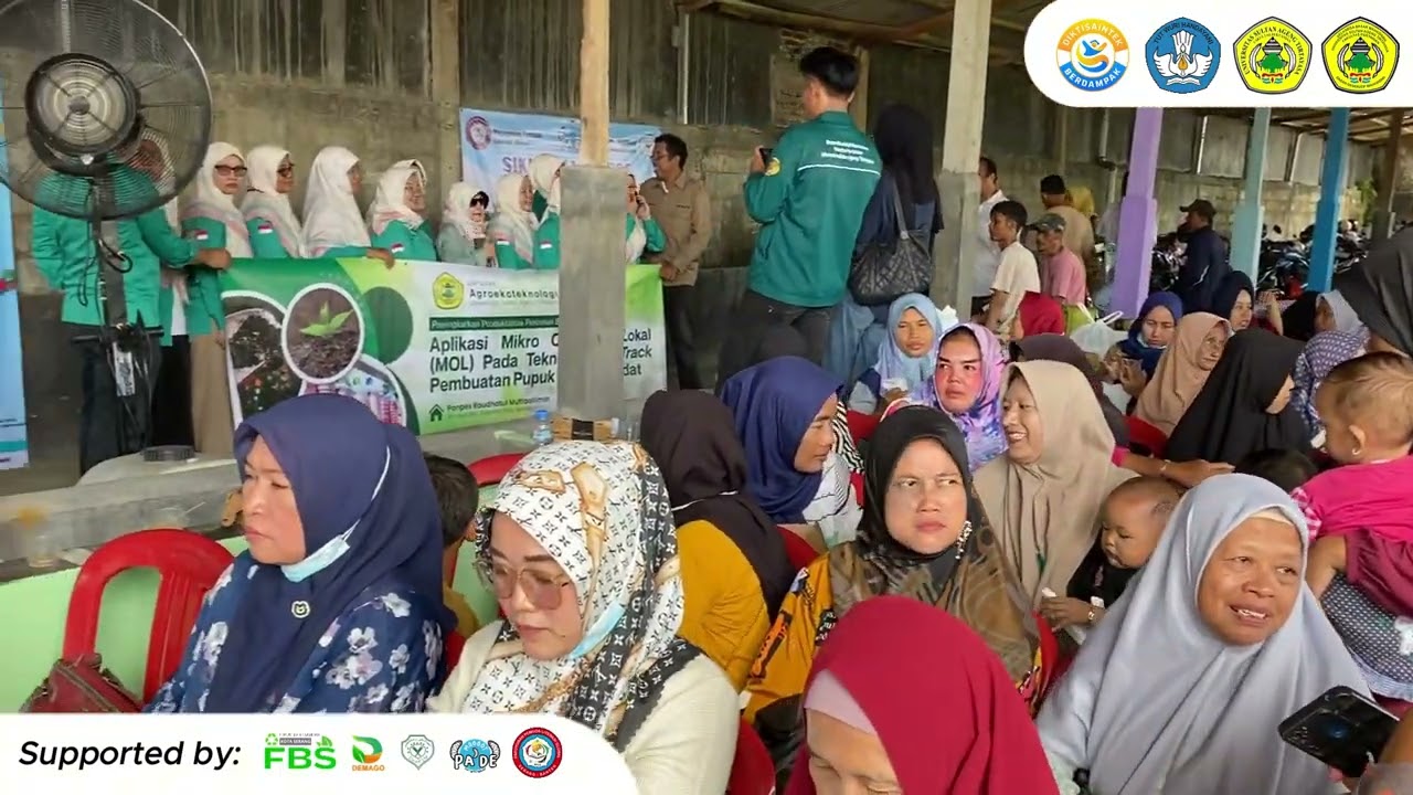 PENINGKATAN KAPASITAS BUDIDAYA MAGGOT SEBAGAI SUMBER PUPUK ORGANIK UNGGUL PADA BUDIDAYA JAGUNG MANIS