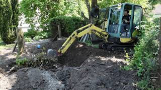 Removing Large Tree Stump with Bagger