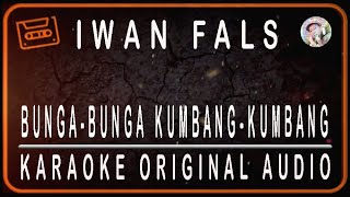 IWAN FALS - BUNGA-BUNGA KUMBANG-KUMBANG - KARAOKE ORIGINAL SOUND