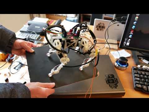 quadruped tiny balance test