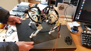 quadruped tiny balance test Wealth