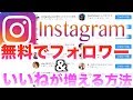 【JK必見】無料でフォロワーを増やすやり方大公開!!