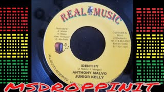 Identify / Anthony Malvo and Junior Kelly - IDENTIFY RIDDIM (BIG TUNE)