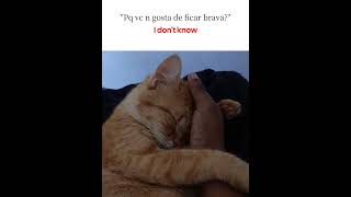 desculpa gente por n postar mais video #capcut #cat ib: ★Mar★