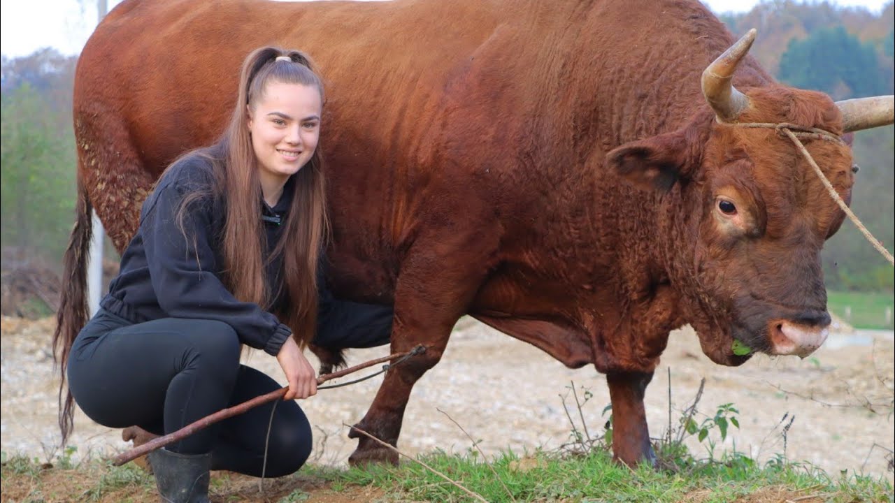 VOLIM miris ŠTALE BIKOVE KRALJICA korida MARTINA BATISTA u ovome je najbolja /Beauty Martina & Bull/