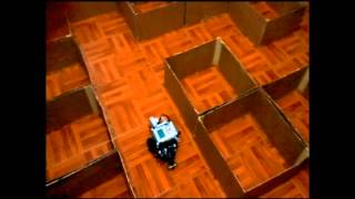 Maze solving autonomous robot