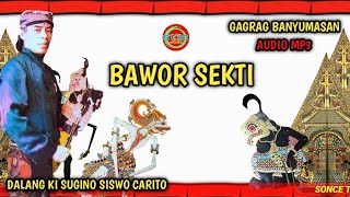 BAWOR DADI GURU ~ DALANG ( ALM ) KI SUGINO SISWO CARITO