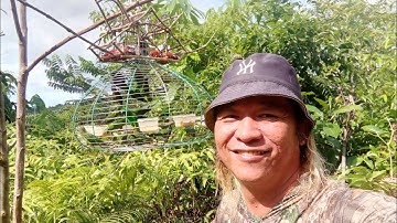 Pikat gangster muda menapau serindit liar tompinai.