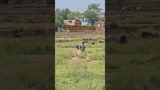 Samsung galaxy s25 ultra 20x zoom test 😱 #S25Ultra#ZoomTest#viralvideo #shorts#s24ultra #zooming