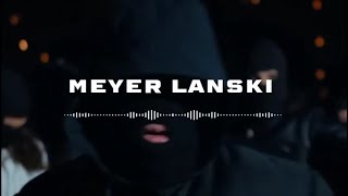 [FREE] KAARIS X KALASH CRIMINEL X TOVARITCH TYPE BEAT - MEYER LANSKI