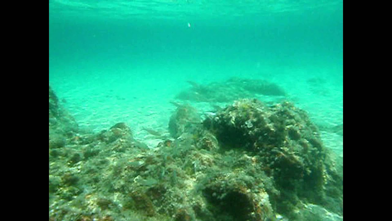 Plage De Lozari En Haute Corse Youtube