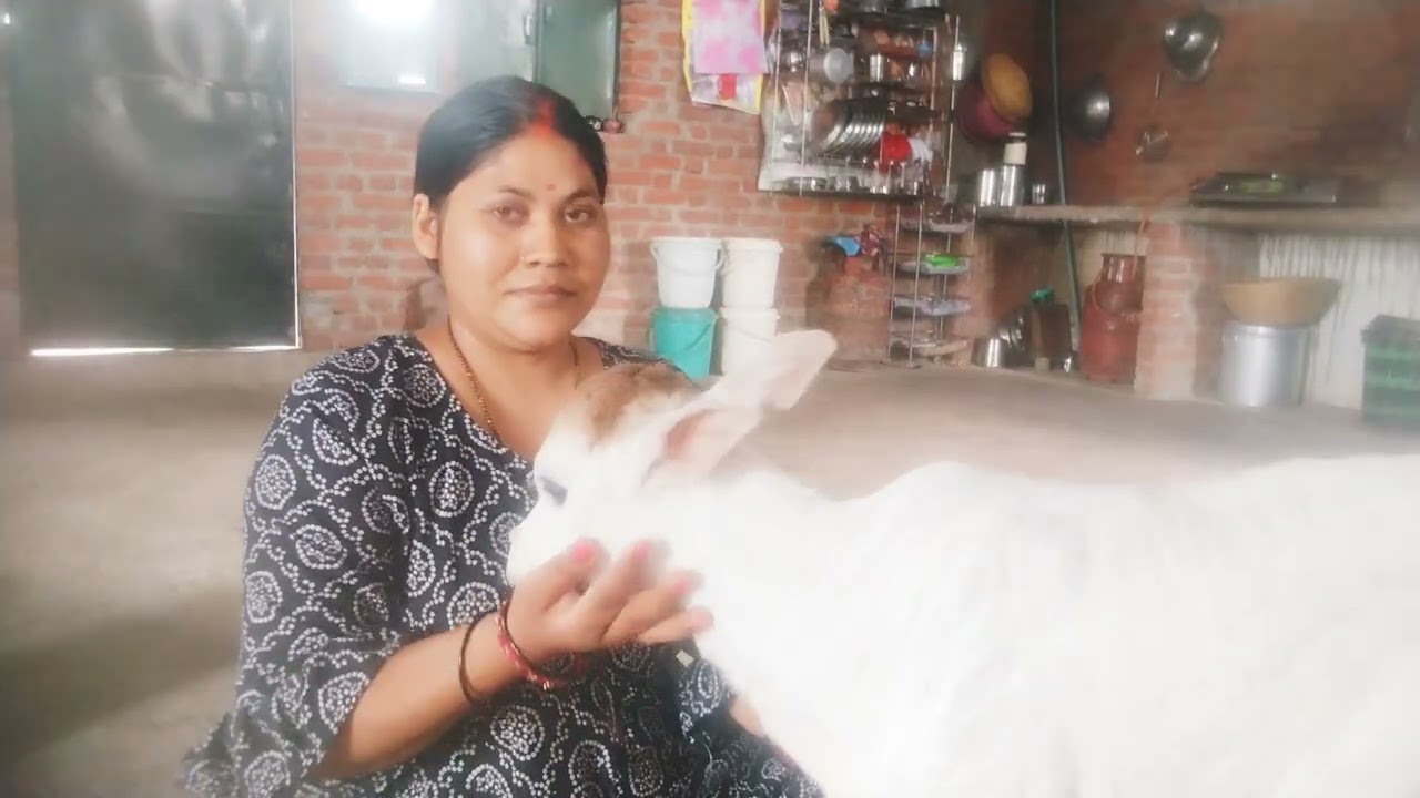 Happy Teej parv ki sabhi ko shubhkamnaen 👏👏👏👏👏 please like 👍 subscribe ❤️ comment 🙏🙏🙏🙏🥰 video 