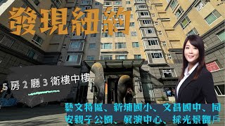 『賀成交』『青自分享』桃園藝文特區『發現紐約』同安公園｜新埔國小｜家樂福｜展演中心｜總圖書館