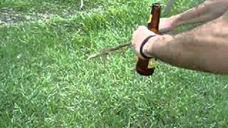 MARIXO COGIENDO LA SERPIENTE screenshot 5