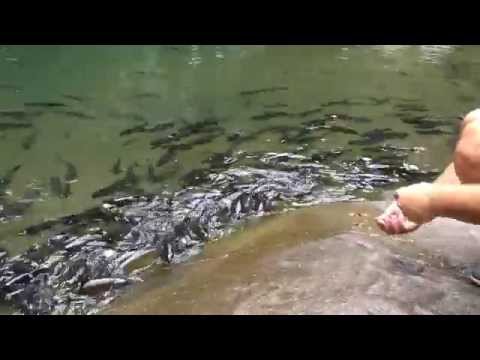 Водопад Кхао Чамао / Waterfall Khao Chamao