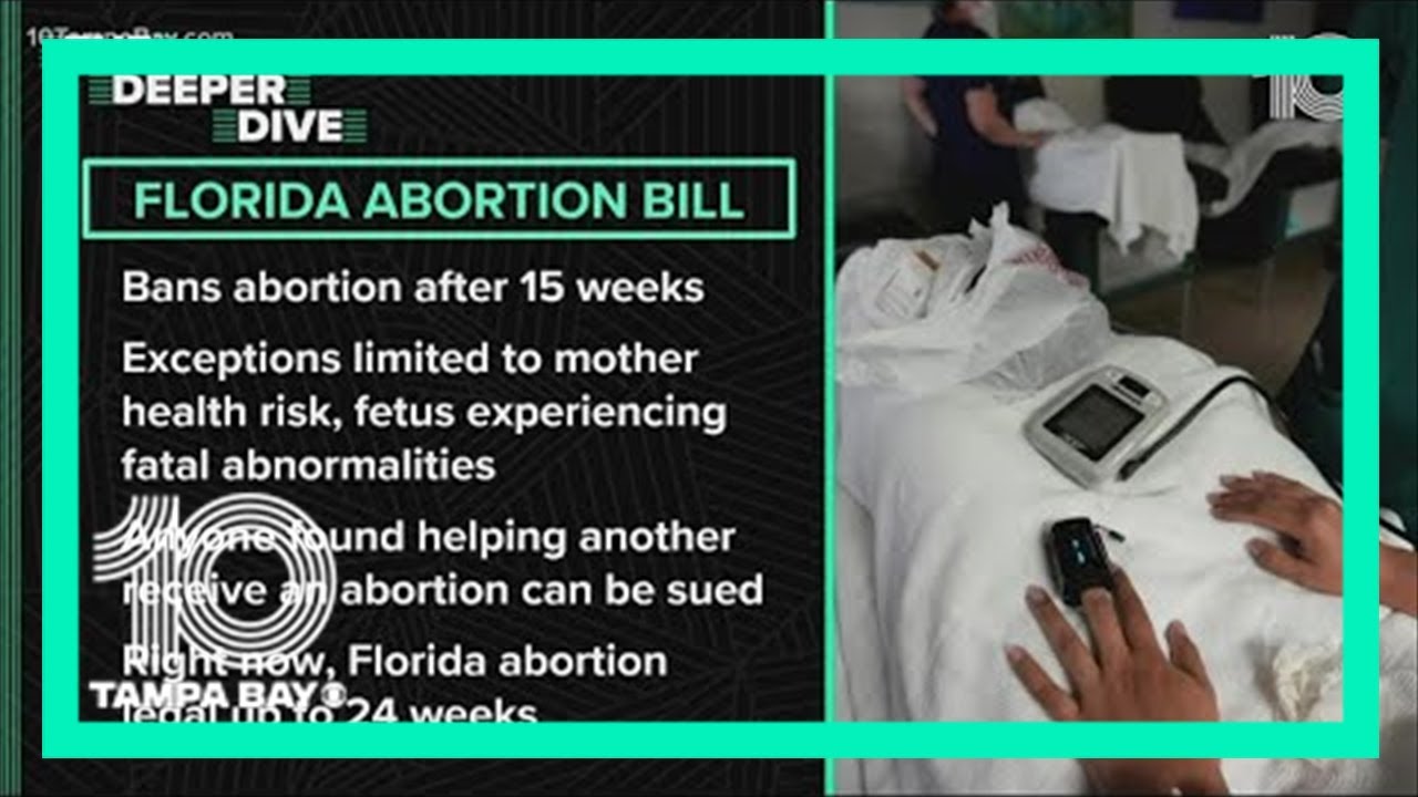 New Florida abortion bills ban procedure after 15 weeks - YouTube