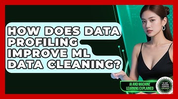 How Does Data Profiling Improve ML Data Cleaning? - AI and Machine Learning Explained