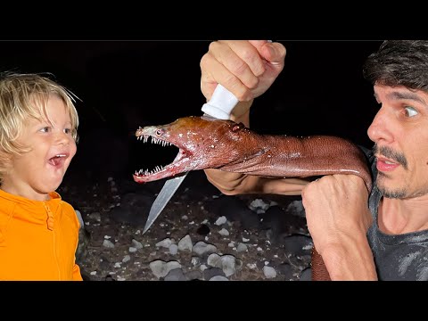 VIPER MORAY EEL HUNTING AT NIGHT - Camping + Fishing Catch and Cook with My Boys