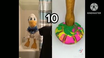 @DonaldDucc - All TikTok