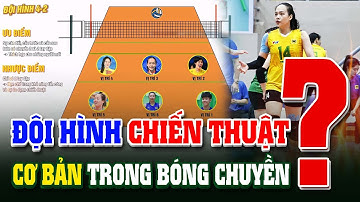 Đội hình chiến thuật cơ bản trong bóng chuyền có thể bạn chưa biết