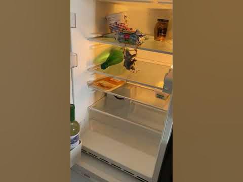 Холодильник пустой - YouTube