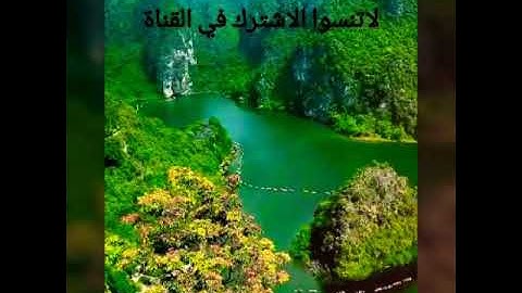 تلاوة مميزة للقارئ سعيد دباح سورة الهمزة  2018