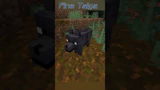 All of the New Dogs in #Minecraft 1.21!!