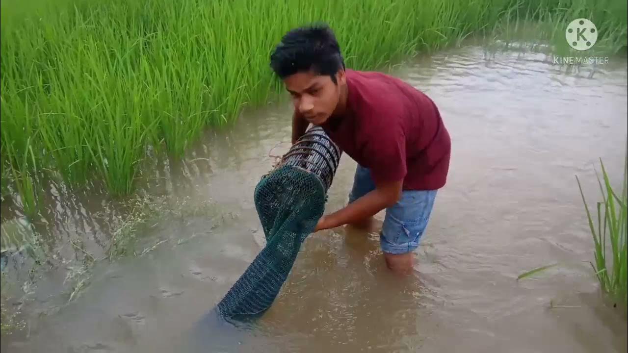 Rainy season Fishing Rod Sid unbelievable fishing Rod Sid fishing video