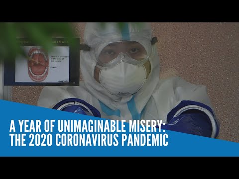 A year of unimaginable misery: The 2020 COVID-19 pandemic