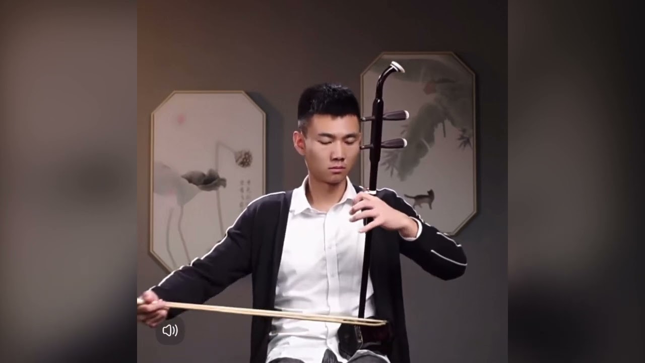 CS 高分子琴皮二胡07B 環保實木二胡