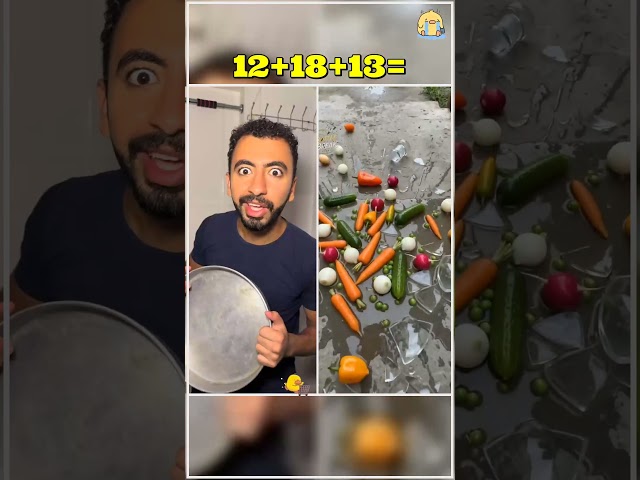 ساكن مع الفار الطباخ