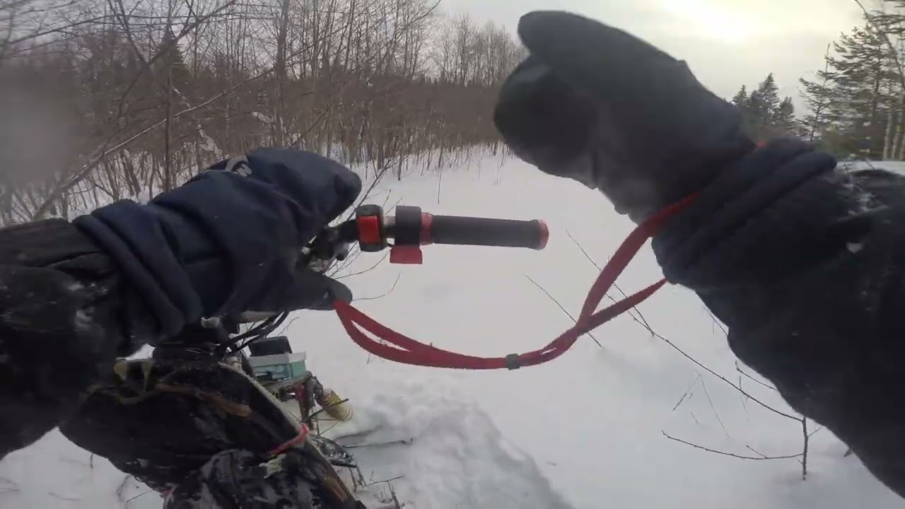 Горник на двух моторах.