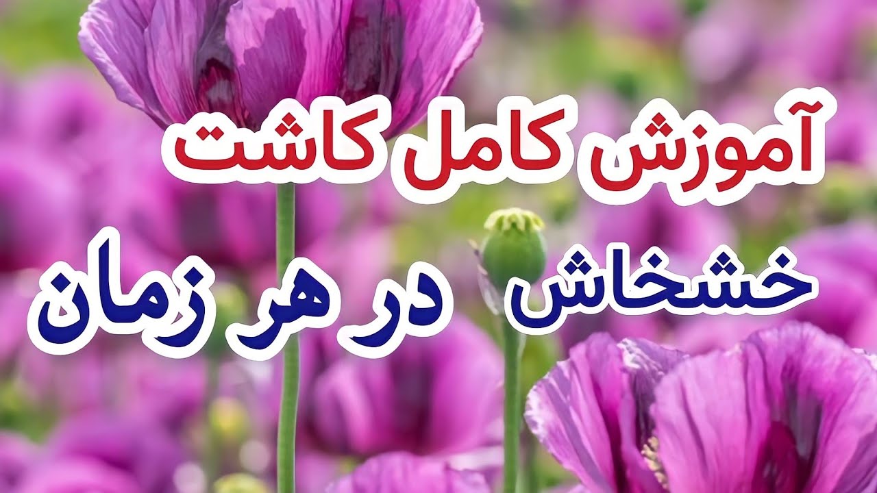 آشنایی با 10 فناوری مدرن کشت و کار