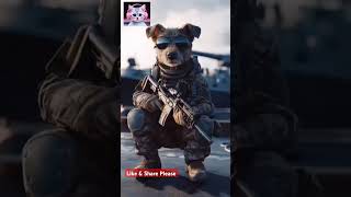 Army Cat #short #shortsfeed #youtubeshorts #trending #viralshorts #shortsvideo #shortvideo #aicat