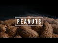 CACAHUETES Video Producto | Peanuts Spot Tabletop