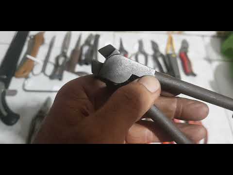 Video hàng nhật bãi kéo tĩa tán con cua kéo cắt cành chữ a... - youtube