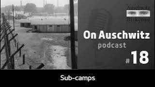 'On Auschwitz' (18): sub-camps