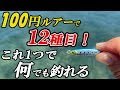 ルアー初心者でも簡単・ボウズ続きな方にはこの釣り方。ダイソージグを堤防で投げたら色々釣れすぎた...【ライトゲーム五目】