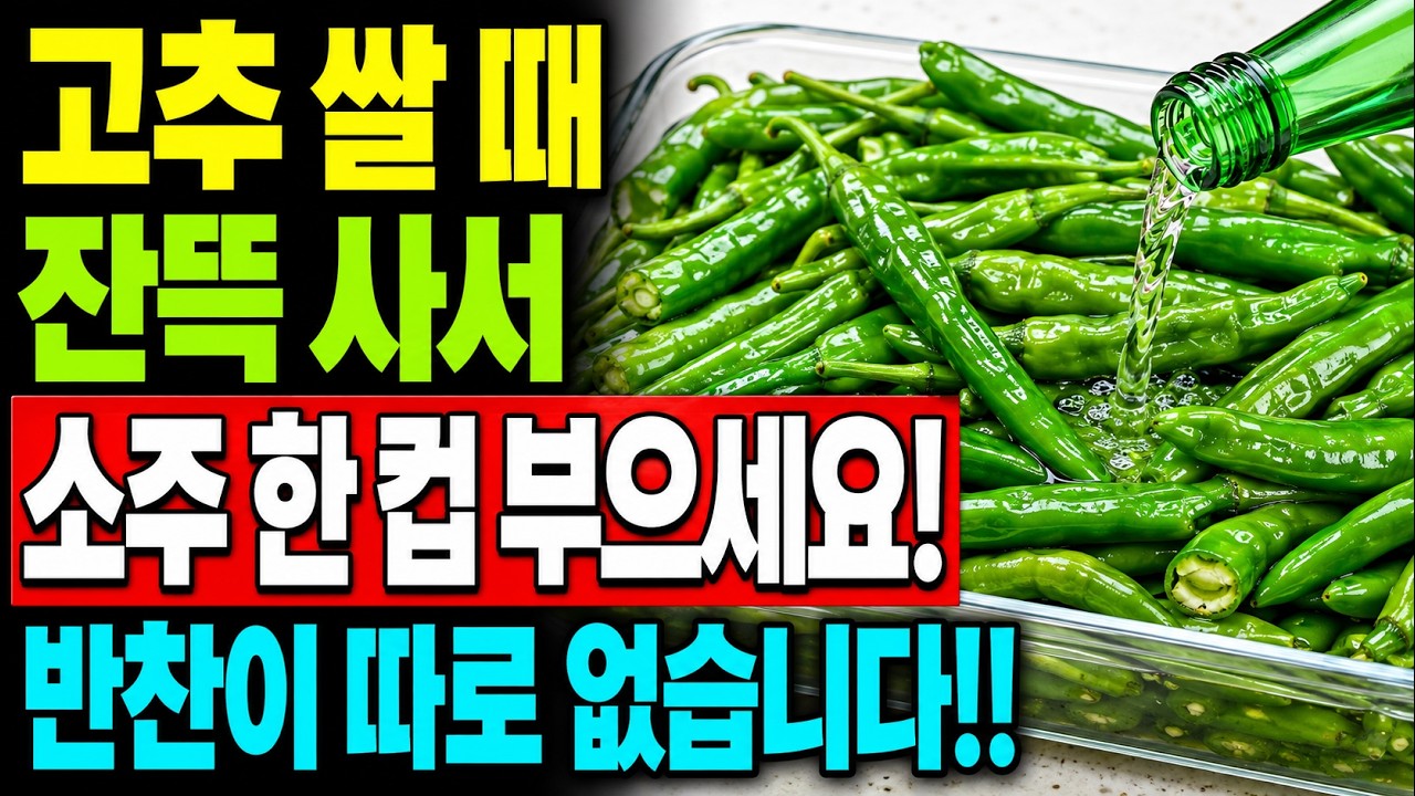 고추 쌀 때 잔뜩 사서 '소주'를 부으세요! 1년 내내  든든합니다! 아삭하고 곰팡이 없는 초간단 고추장아찌 황금비율 5분 만에 끝나는 쉬운 고추장아찌 & 무침 레시피