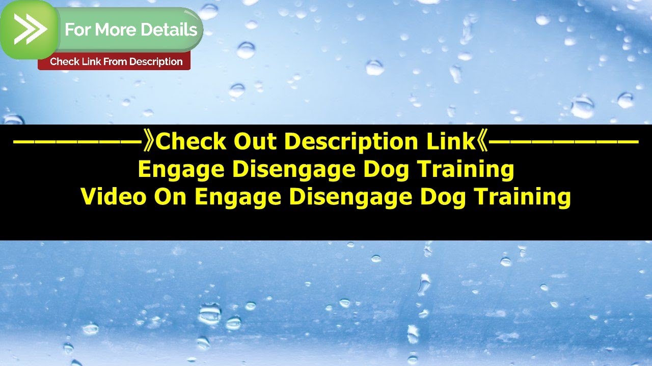 🆕Engage Disengage Dog Training Dog Reactive To Other Dogs On Leash ...