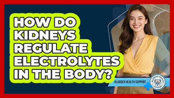 How Do Kidneys Regulate Electrolytes In The Body? - Bladder Health Support