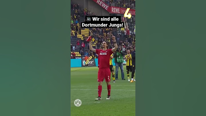 Yellow Wall celebrates Neven Subotic 😍
