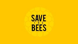 Save the Bees - MHS Bioengineering Team